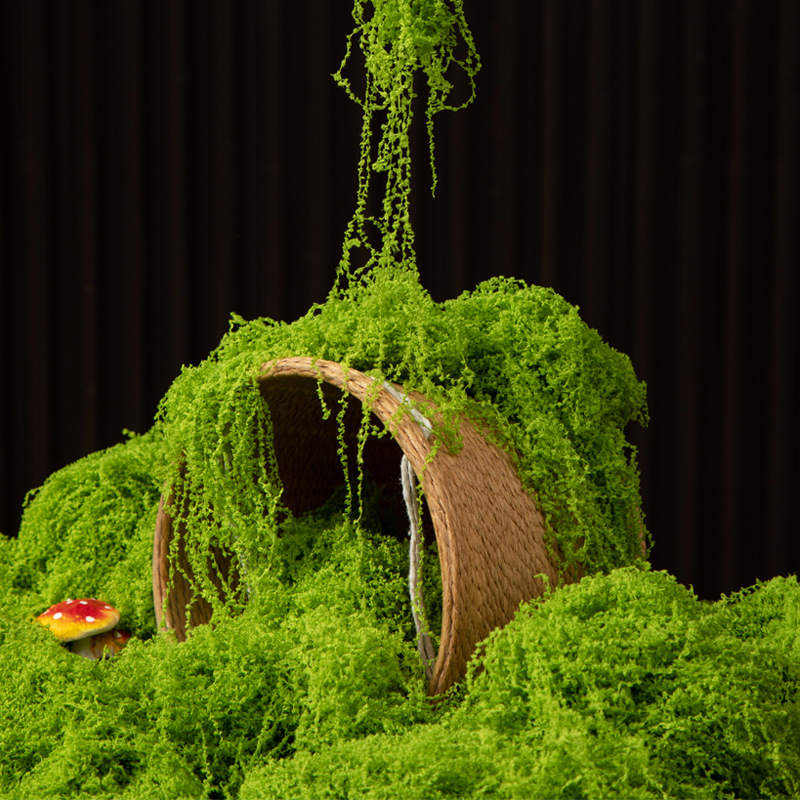Terrarium Moss Art - 200g Ebedi Yaşam Yosun DIY El
