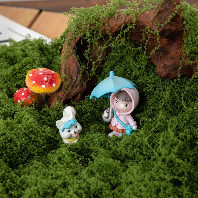 200g Ebedi Yaşam Yosun DIY El  - Terrarium Moss Art incelemesi ve fiyatı