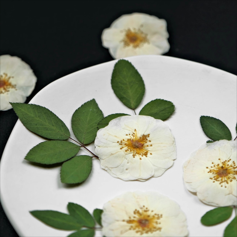 6 adet, 9 adet, Doğal Beyaz Gü - Dried Flower Bulk incelemesi ve fiyatı