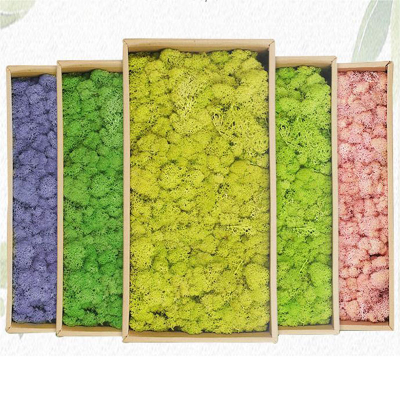 20g yapay yeşil yosun bitkiler - Terrarium Moss Art incelemesi ve fiyatı