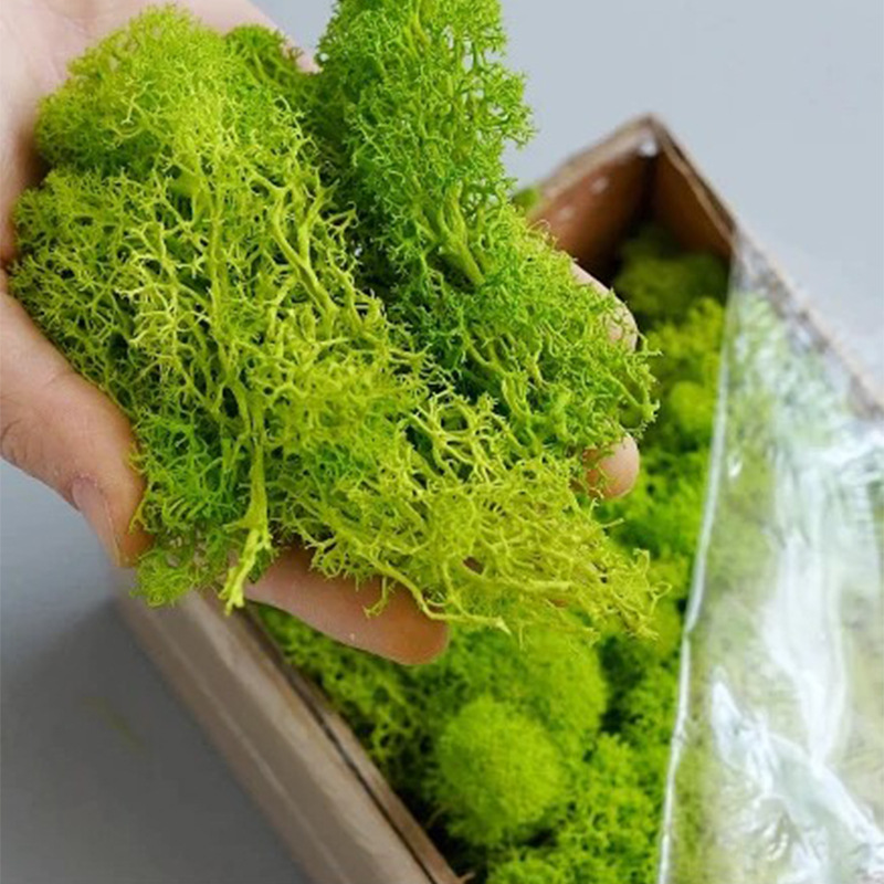 20g yapay yeşil yosun bitkiler - Terrarium Moss Art incelemesi ve fiyatı