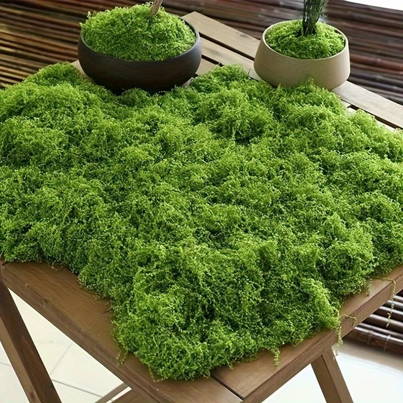 50g Yeşil Sahte Yosun DIY El S - Terrarium Moss Art incelemesi ve fiyatı