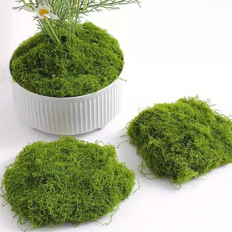 50g Yeşil Sahte Yosun DIY El S - Terrarium Moss Art incelemesi ve fiyatı